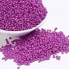 Baking Paint Glass Seed Beads SEED-S001-K21-1