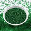 MIYUKI Round Rocailles Beads SEED-G009-RR0146-2
