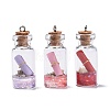 Glass Wishing Bottle Pendant Decorations X-GLAA-S181-02-2
