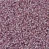 MIYUKI Delica Beads X-SEED-J020-DB1434-3