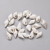 Spiral Shell Beads BSHE-L037-03-1