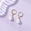 Shell Pearl Leverback Earrings EJEW-JE06905-1