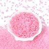 FGB Frosted Transparent Glass Seed Beads SEED-N013-05A-05-2