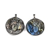 Natural Labradorite Carved Insect Pendants G-B085-07P-1