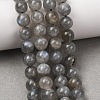 Natural Labradorite Beads Strands G-H326-01-6MM-1-2