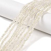 Electroplate Glass Faceted Rondelle Beads Strands EGLA-D020-3x2mm-05-A-6