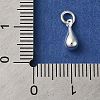 925 Sterling Silver Charms STER-M120-01C-S-3