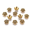 Tibetan Style Bead Caps LS-TIBEB-A24621-AG-LF-1