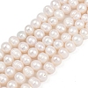 Natural Cultured Freshwater Pearl Beads Strands PEAR-I007-07J-05A-2