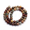 Natural Polychrome Jasper/Picasso Stone/Picasso Jasper Round Bead Strands G-J303-16-10mm-2