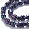 Natural Keshi Pearl Beads Strands PEAR-S021-155A-01-3