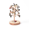 Natural Tourmaline Chips with Brass Wrapped Wire Money Tree on Wood Base Display Decorations DJEW-B007-05H-1