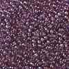 TOHO Round Seed Beads SEED-TR08-0166-2