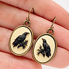 Alloy Enamel Dangle Earrings FS-WGA17FA-01-1
