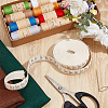10 Yards Printed Ruler Polyester Ribbon OCOR-WH0070-147-5