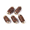 Tibetan Style dZi Agate Beads G-N359-08A-1