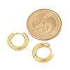 PVD Vacuum Plating 304 Stainless Steel Huggie Hoop Earrings for Women EJEW-F280-07K-G-5