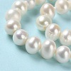 Natural Pearl Beads Strands PEAR-E018-99-4