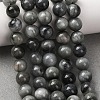 Natural Hawk's Eye Beads Strands G-L478-03-8mm-01-2