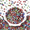 Picasso Baking Paint Glass Seed Beads SEED-N007-38A-03-2