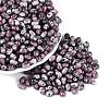 Picasso Glass Seed Beads SEED-N012-10M-1