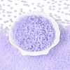 Transparent Glass Seed Beads SEED-Q041-01G-1