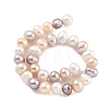 Natural Cultured Freshwater Pearl Beads Strands PEAR-C003-13E-3