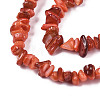 Natural Freshwater Shell Beads Strands SHEL-S278-070C-3