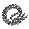 Natural Larvikite Beads Strands G-K389-B85-01-3