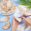 Concave Oyster Shells for Home Vase Filler AJEW-WH0880-34-3