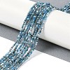 Natural Apatite Beads Strands G-G139-A02-01-2