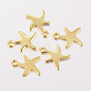 304 Stainless Steel Charms X-STAS-F162-40G-1