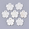 Freshwater Shell Pendants X-SHEL-N026-03-1