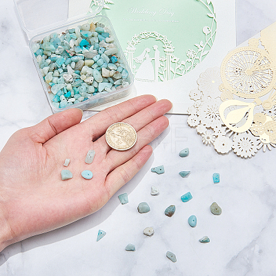 Natural Amazonite Chip Beads G-CJ0001-21-1