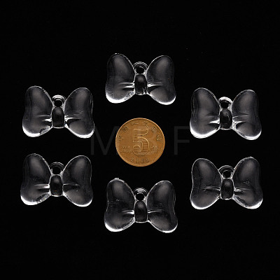Transparent Acrylic Pendants TACR-T024-02BB-205-1