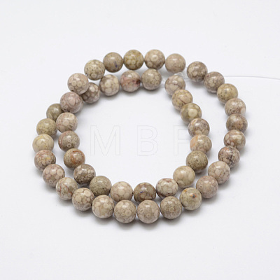 Natural Fossil Coral Beads Strands G-G735-52-8mm-1