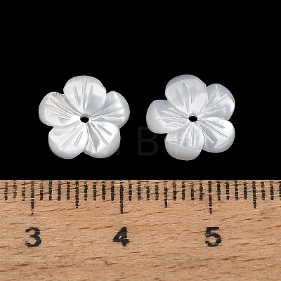 Natural White Shell Beads SH-CBA93AD-07B-1