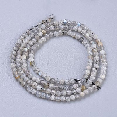 Natural Labradorite Beads Strands X-G-R475-025A-1
