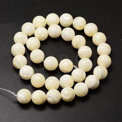 Natural Sea Shell Beads Strands SSHEL-K013-12mm-A-1