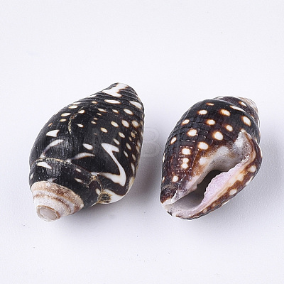 Spiral Shell Beads SSHEL-T008-23-1