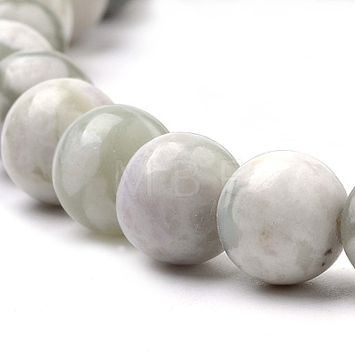 Natural Peace Jade Beads Strands G-S259-25-10mm-1