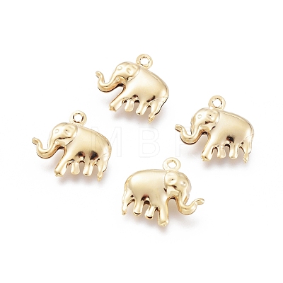 304 Stainless Steel Charms X-STAS-H413-13G-1