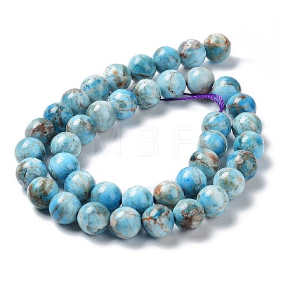 Natural Apatite Beads Strands G-G858-01C-1