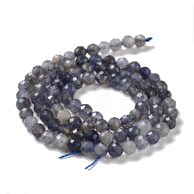 Natural Iolite Beads Strands G-J400-E05-02-1