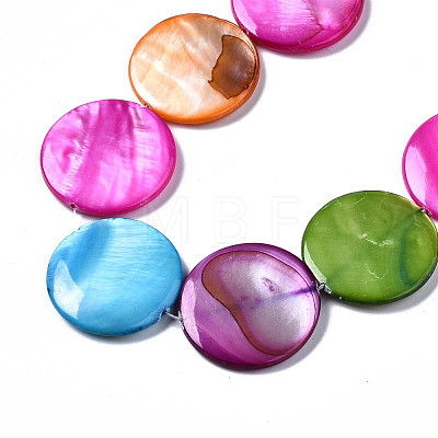 Natural Freshwater Shell Beads Strands SHEL-Q024-005-1