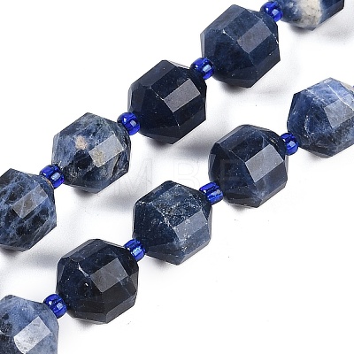 Natural Sodalite Beads Strands G-O201B-112G-1