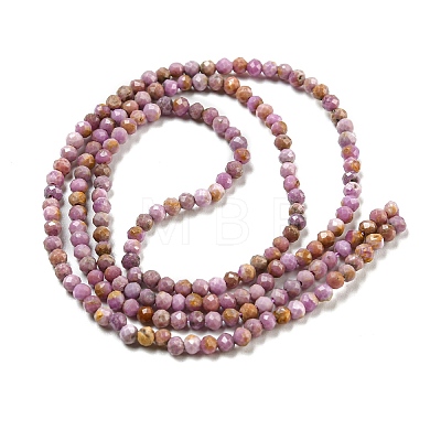 Natural Lepidolite/Purple Mica Stone Beads Strands G-NH0011-A01-03-1