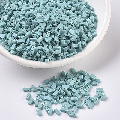 MIYUKI Half TILA Beads SEED-MY05-HTL412FR-1