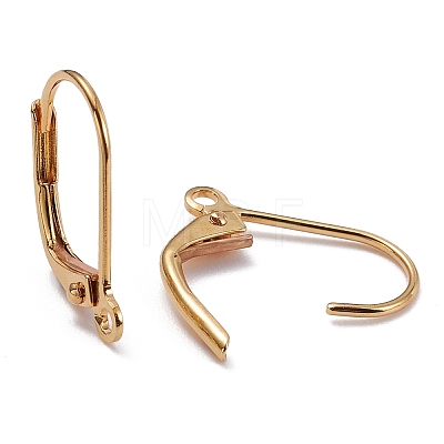 Brass Leverback Earring Findings X-KK-F824-007G-1