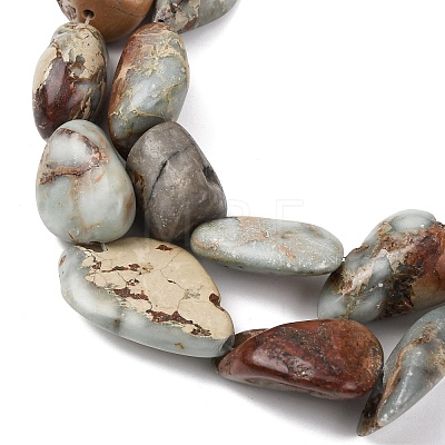 Natural Shoushan Stone Beads Strands G-D098-C05-1